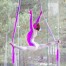 Aerial Ballet Image 9